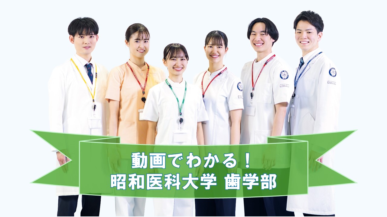 動画ページ写真