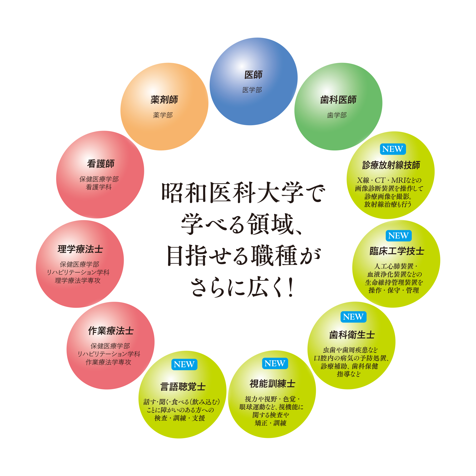 SMUN2508_図版