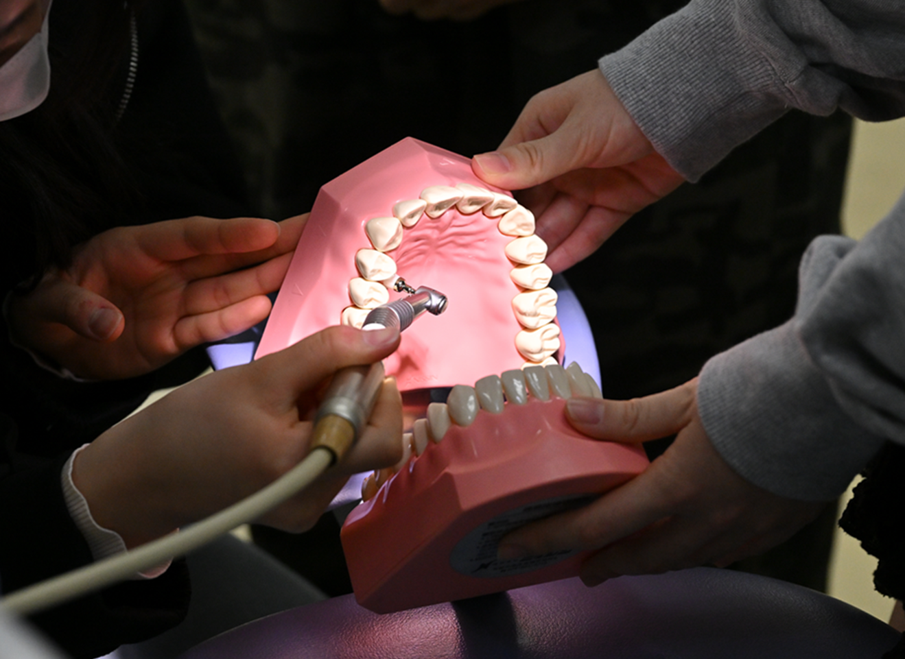 歯科衛生学専攻