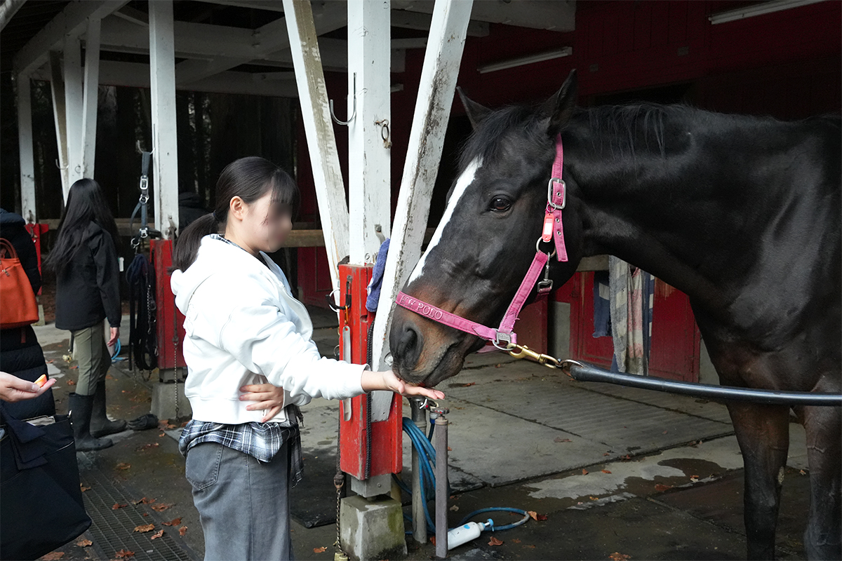 キャンパスツアー：餌やり体験